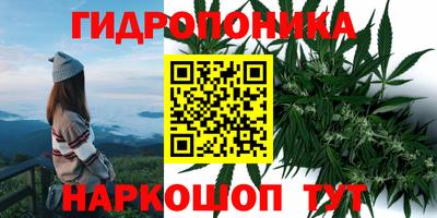 spice Будённовск