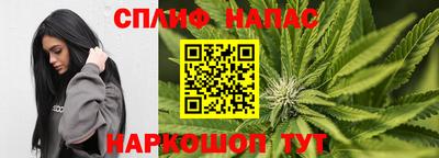 spice Будённовск
