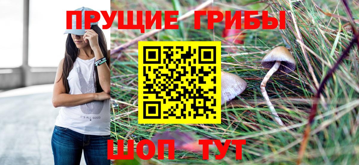 Псилоцибиновые грибы прущие грибы  Вход с VPN  Ртищево 